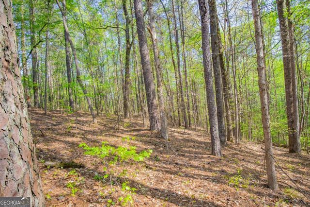 0 Lake Esther Drive, Fairburn, GA 30213