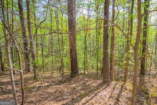 0 Lake Esther Drive, Fairburn, GA 30213