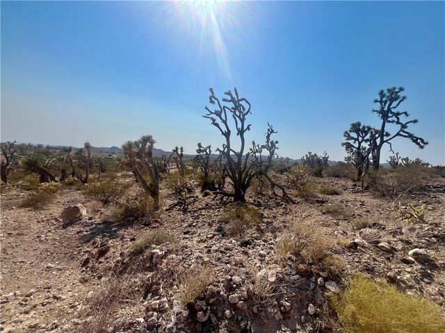 328-04-263 N MARIPOSA, Dolan Springs, AZ 86441