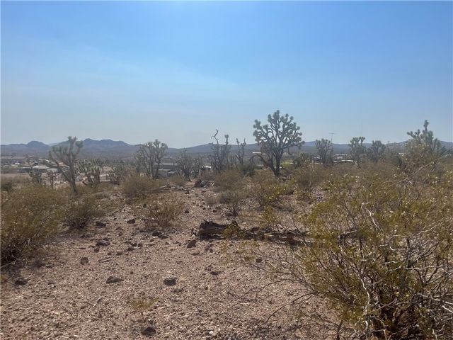 328-04-263 N MARIPOSA, Dolan Springs, AZ 86441