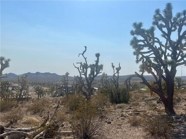 328-04-263 N MARIPOSA, Dolan Springs, AZ 86441