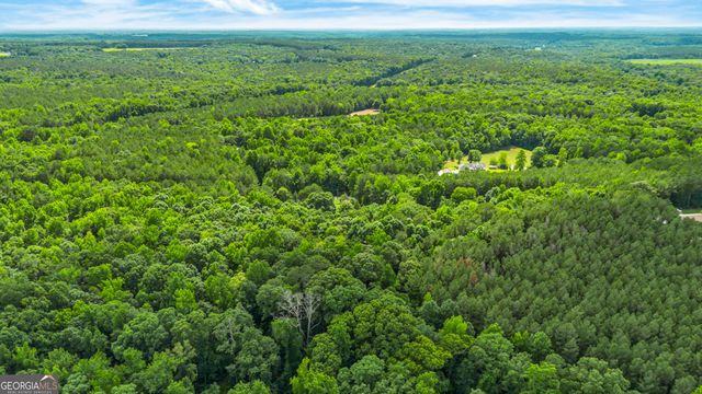 1451 Double Bridges Road, Madison, GA 30650