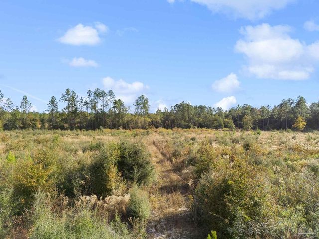 XX22 Indian Ford Rd, Milton, FL 32570