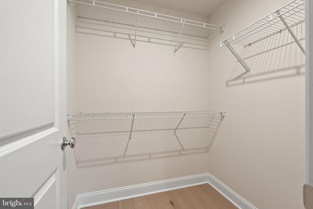 2840 RED STAR LN, Alexandria, VA 22303