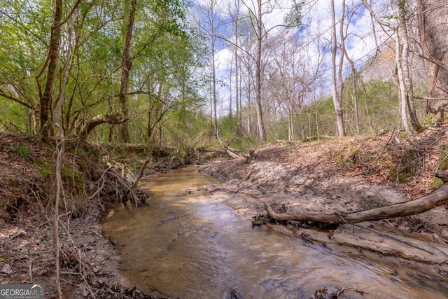 1583 Sullivan Mill Road, Senoia, GA 30276