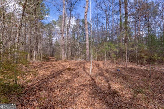 1583 Sullivan Mill Road, Senoia, GA 30276