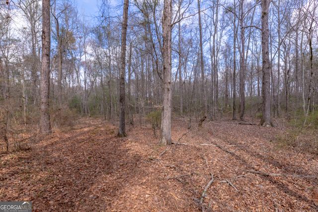 1583 Sullivan Mill Road, Senoia, GA 30276