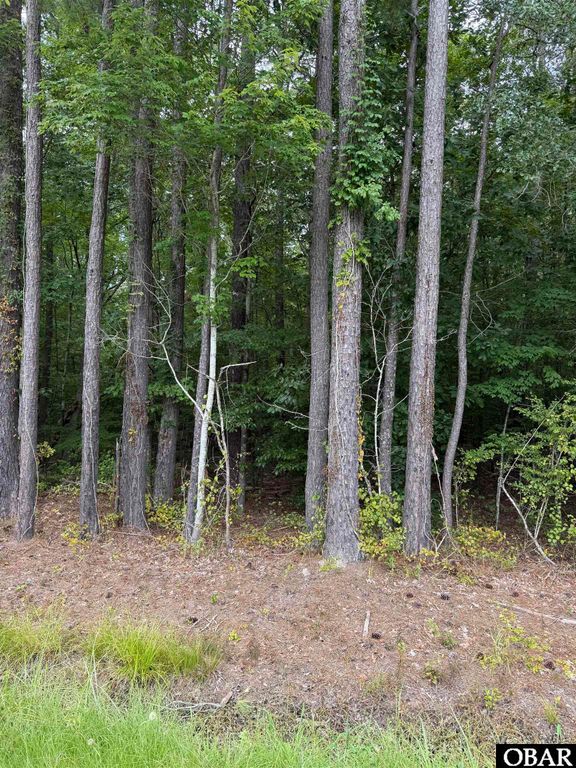 TBD Boat Ramp Road Lot 6, New Hope, NC 27944