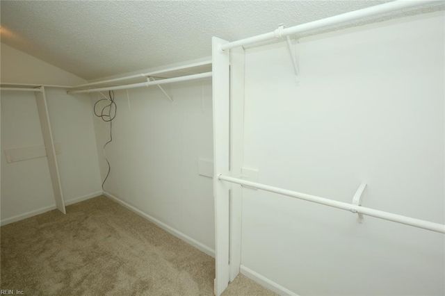 1217 Reardon CIR, Virginia Beach, VA 23453