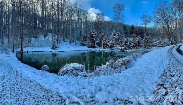 198 Brooks Branch Road, Leicester, NC 28748