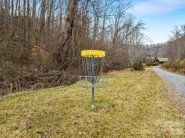 198 Brooks Branch Road, Leicester, NC 28748