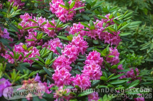 198 Brooks Branch Road, Leicester, NC 28748