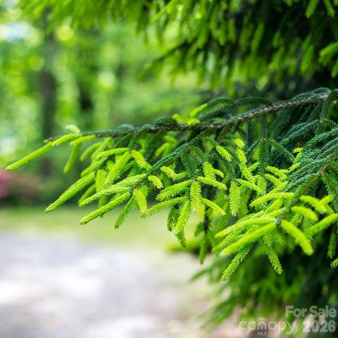 198 Brooks Branch Road, Leicester, NC 28748