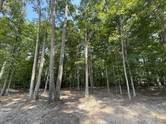 211 Beechwood Court, W, Pegram, TN 37143