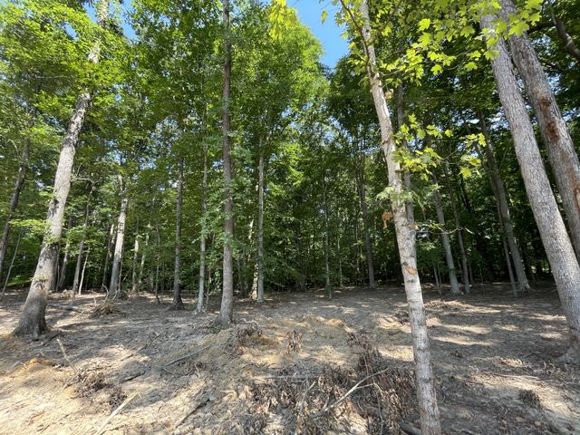 211 Beechwood Court, W, Pegram, TN 37143