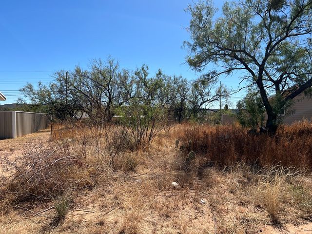 2402 S Monticello St, Big Spring, TX 79720