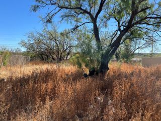 2402 S Monticello St, Big Spring, TX 79720