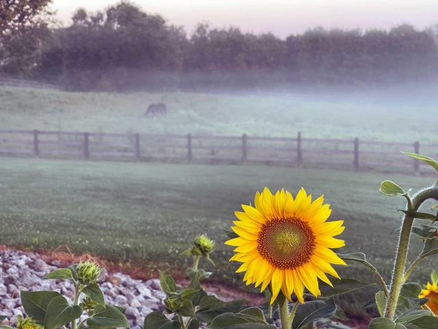 5028 Ashgrove Pike, Nicholasville, KY 40356