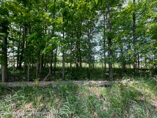 13592 Forest Hill Road, Grand Ledge, MI 48837