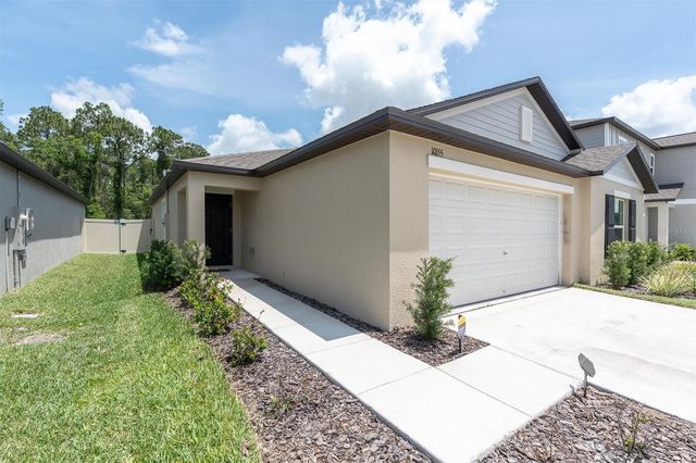 10155 GENTLE RAIN DRIVE, Land O Lakes, FL 34638