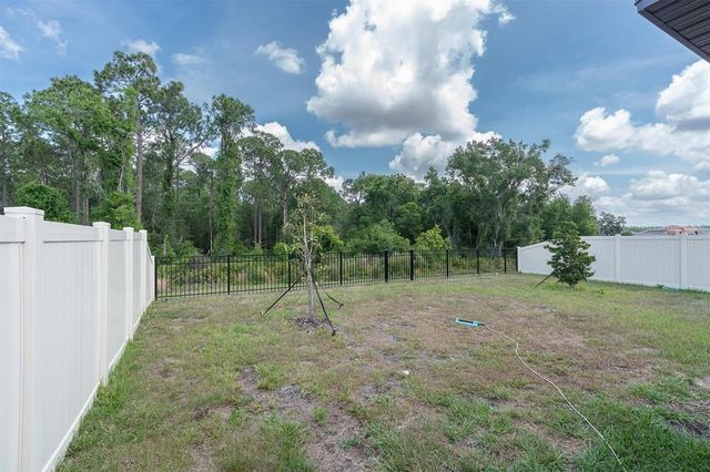10155 GENTLE RAIN DRIVE, Land O Lakes, FL 34638
