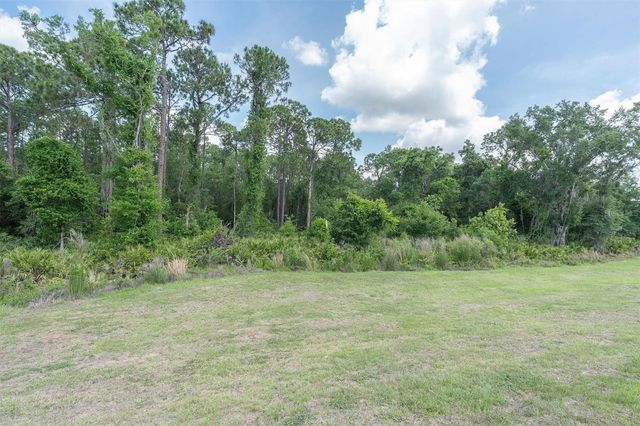 10155 GENTLE RAIN DRIVE, Land O Lakes, FL 34638