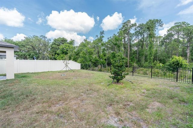 10155 GENTLE RAIN DRIVE, Land O Lakes, FL 34638