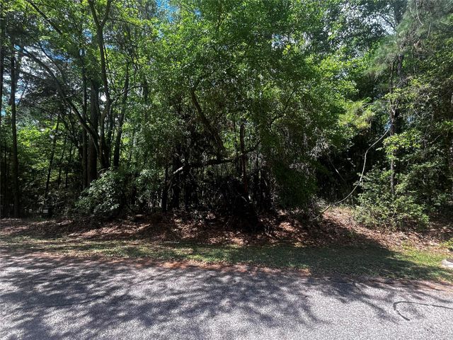 73 Sunny Hill Drive, Coldspring, TX 77331