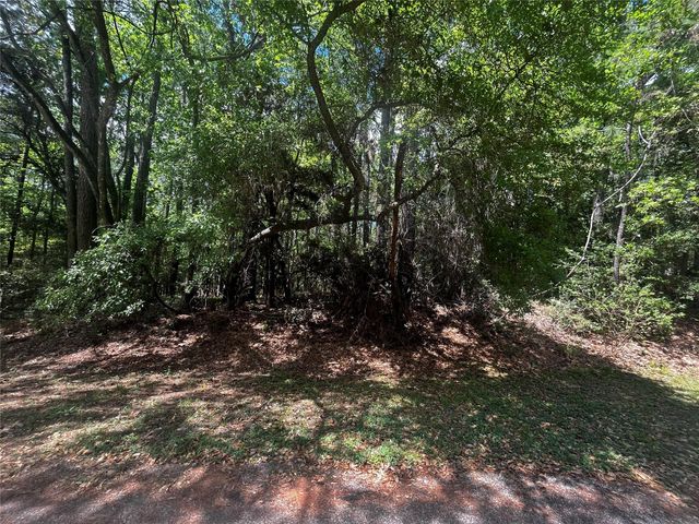73 Sunny Hill Drive, Coldspring, TX 77331