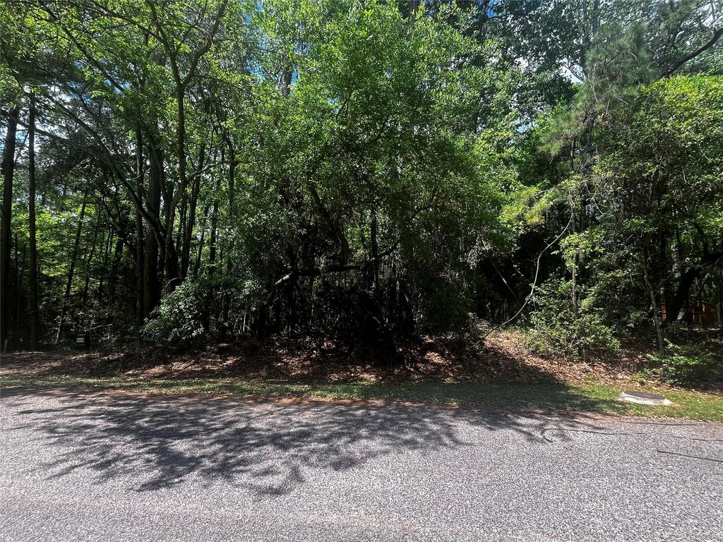 73 Sunny Hill Drive, Coldspring, TX 77331