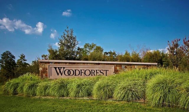 405 Rise Lane, Woodforest, TX 77316