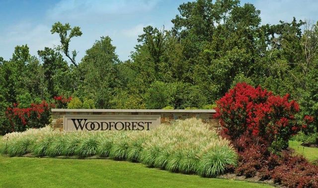 405 Rise Lane, Woodforest, TX 77316