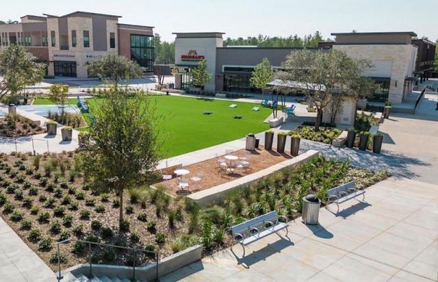 405 Rise Lane, Woodforest, TX 77316