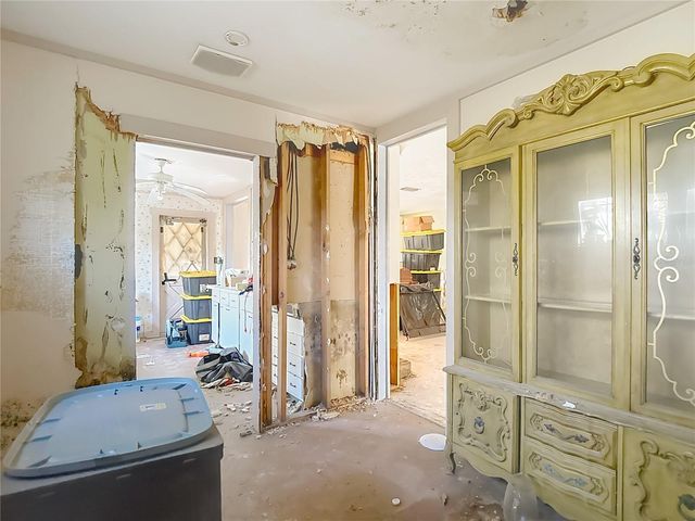 3700 DANA SHORES DRIVE, Tampa, FL 33634