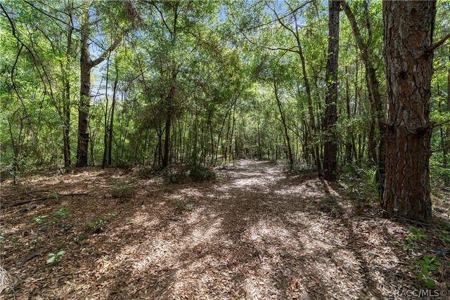 11953 N Glenview Avenue, Dunnellon, FL 34434