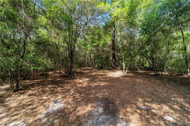11953 N Glenview Avenue, Dunnellon, FL 34434