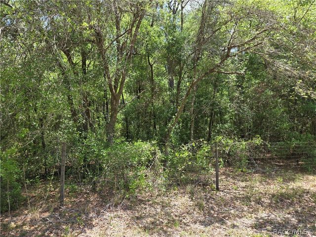 11953 N Glenview Avenue, Dunnellon, FL 34434