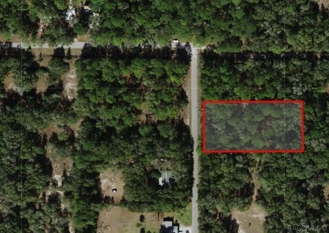 11953 N Glenview Avenue, Dunnellon, FL 34434