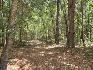 11953 N Glenview Avenue, Dunnellon, FL 34434