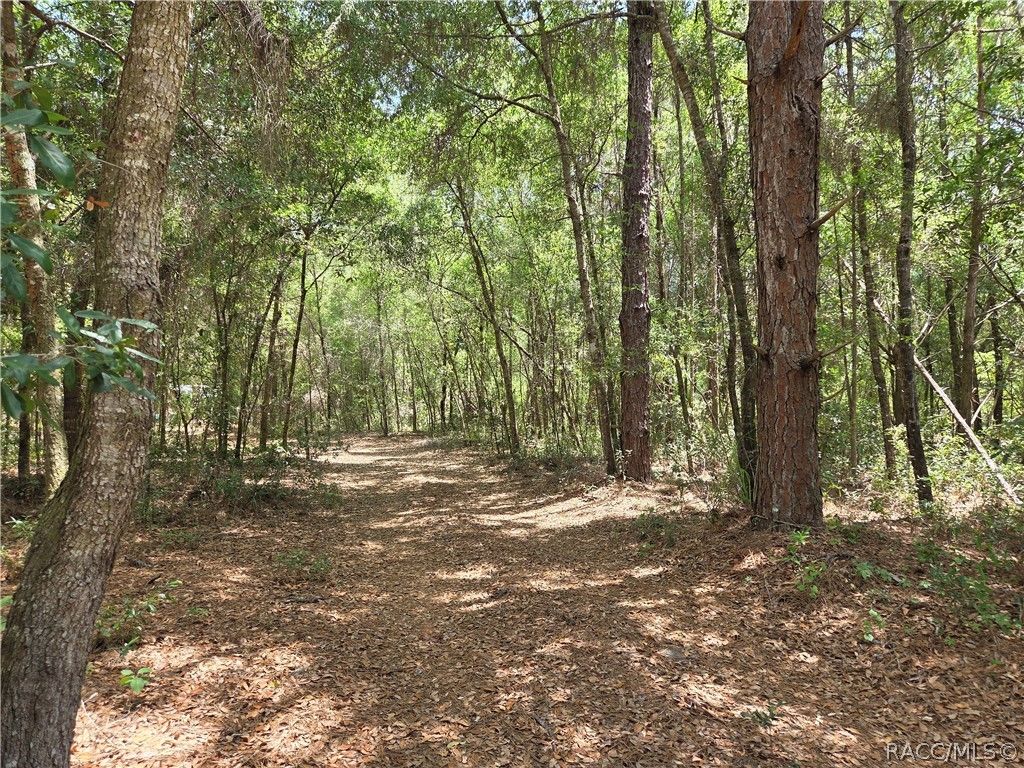 11953 N Glenview Avenue, Dunnellon, FL 34434