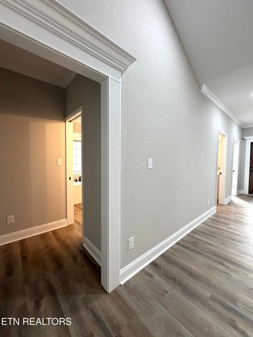 1538 Tsuga Drive, Alcoa, TN 37701