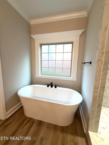 1538 Tsuga Drive, Alcoa, TN 37701