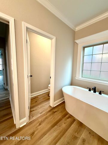 1538 Tsuga Drive, Alcoa, TN 37701