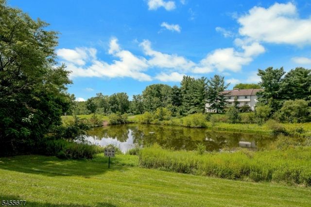 203 Alexandria Way, Bernards Twp., NJ 07920