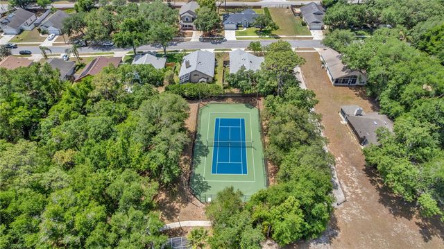 976 ROYAL OAKS DRIVE, Apopka, FL 32703