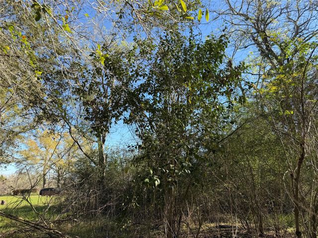 34159 Butternut Lane, Brookshire, TX 77423