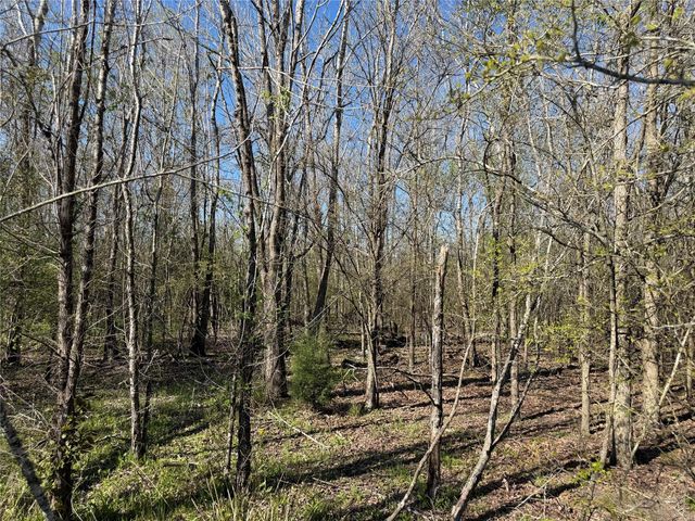 34159 Butternut Lane, Brookshire, TX 77423