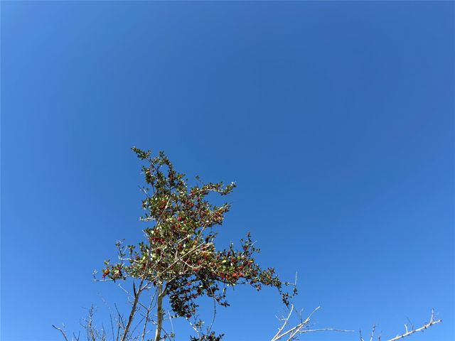 34159 Butternut Lane, Brookshire, TX 77423