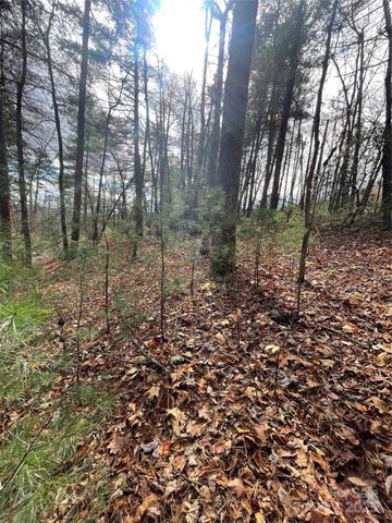 00 Pinnacle Falls Lane, Zirconia, NC 28790