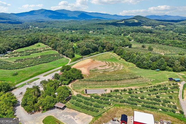 4218 Roy Road, Ellijay, GA 30536